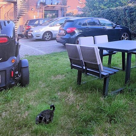 Logeerkamer Xxl 25 M2 Zemst Eksteriør billede